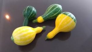 MyD Delivery Product Image